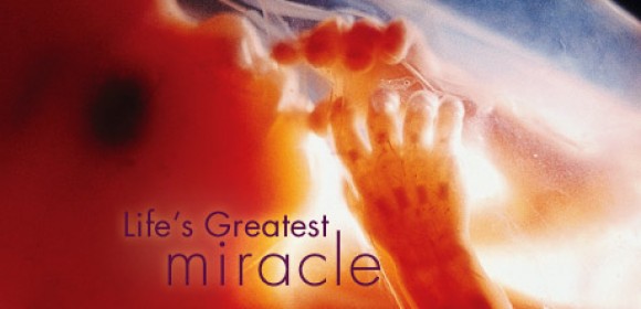 Nova: Life’s Greatest Miracle